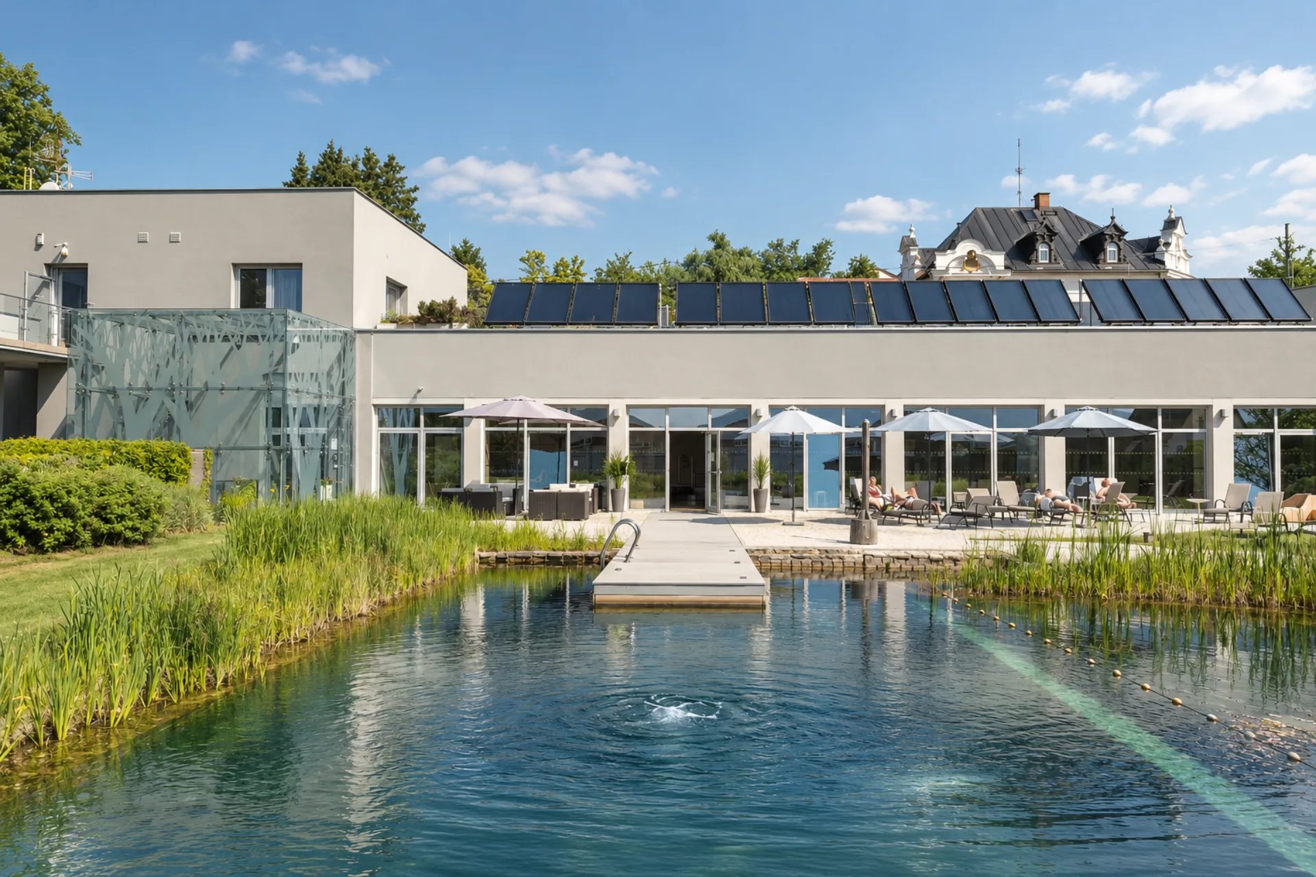 Přírodní koupací biotop v zahradě Antonie Hotel Frýdlant